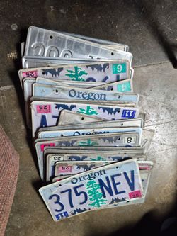 License plate