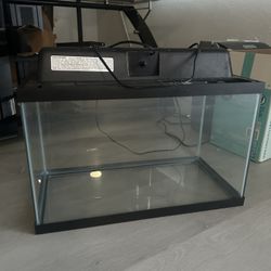 10 Gallon Fish Tank