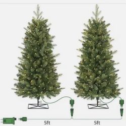 Home Decorator (2 pk) 3 ft. Grand Duchess Twinkling Balsam Fir LED PreLit Trees