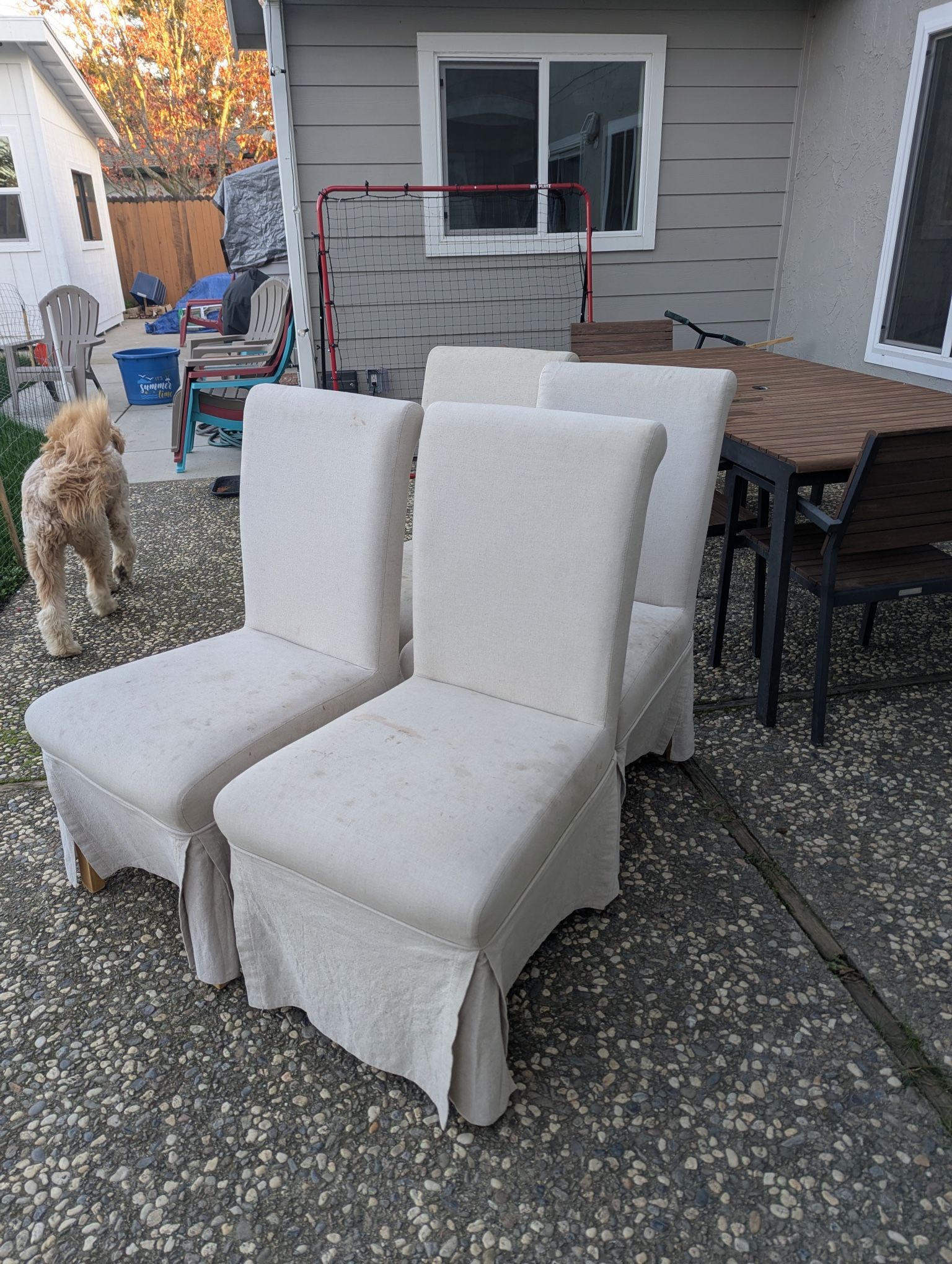 Free! Four dining chairs with removable covers