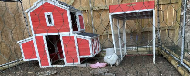 Chicken Coop