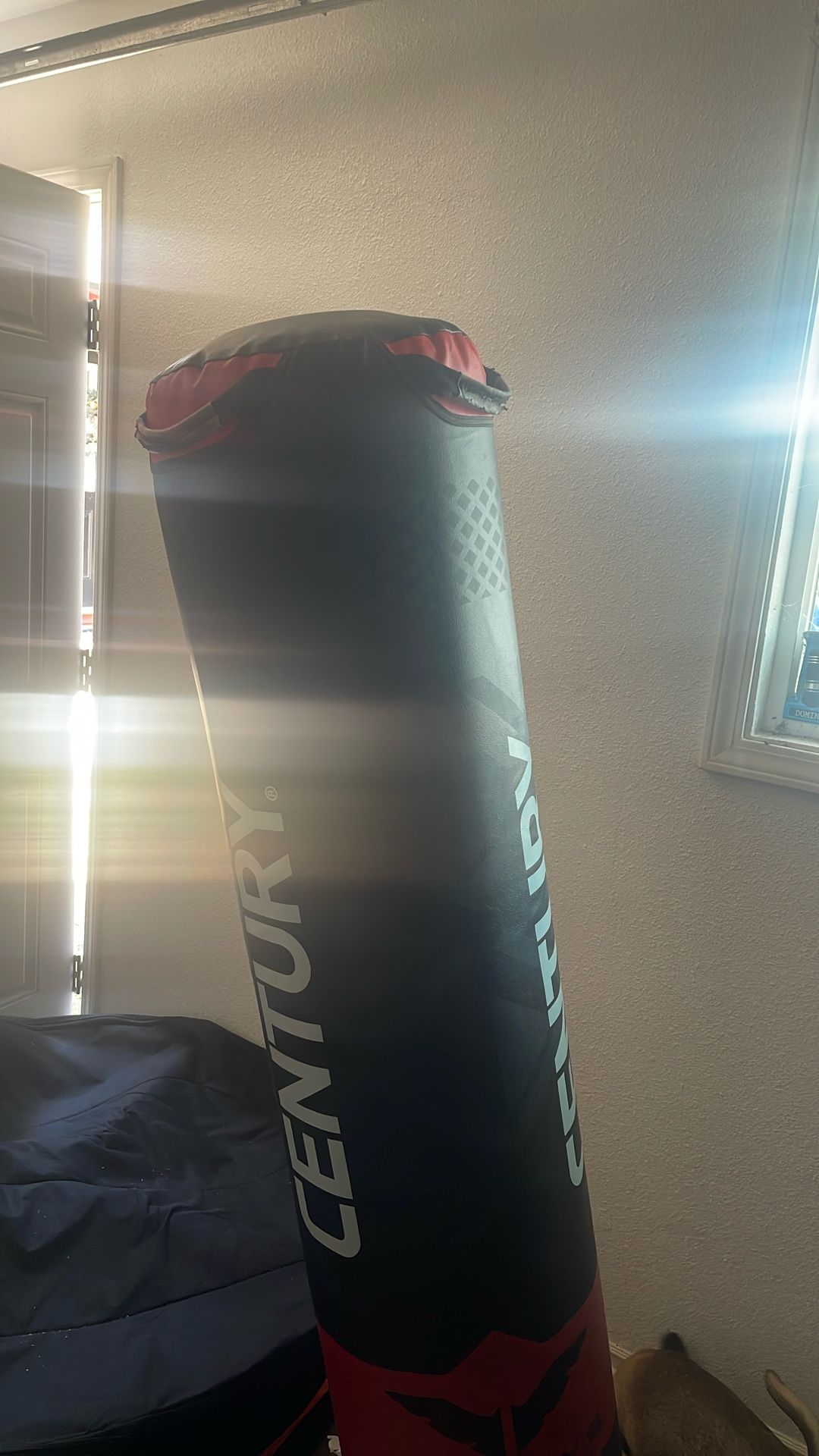 Century Punching Bag