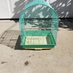 Bird Cage