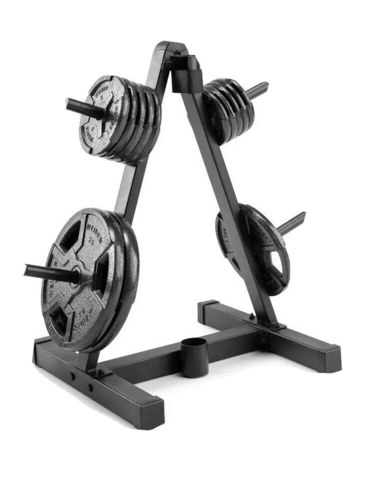 Bench Press And Weight Rack With Weights 