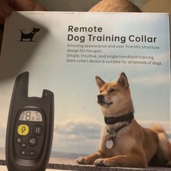 Remote Dog Training Collar