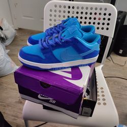 Nike SB Pro Blueberry 🫐