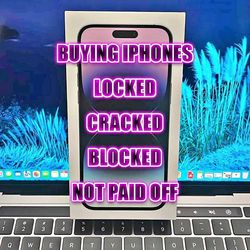 iPhone 18 (buyer) bulk apple products