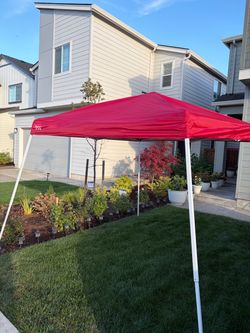 10x10 Pop Up canopy Tent
