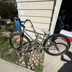 Stinker Brand 29” bike 