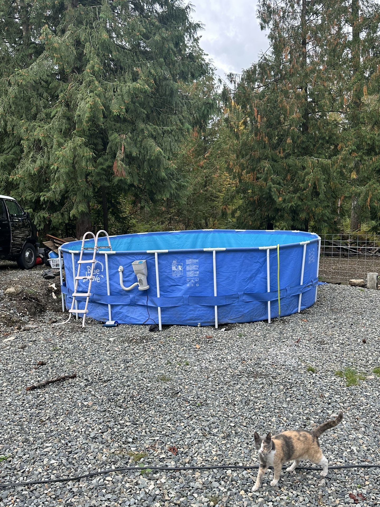 FREE POOL