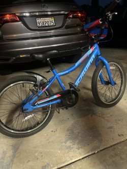 Boys Shwinn Fenite Bike Bicycle