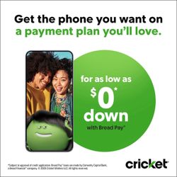 Cricket