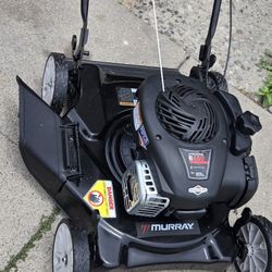 Podadora Murray No Bolsa