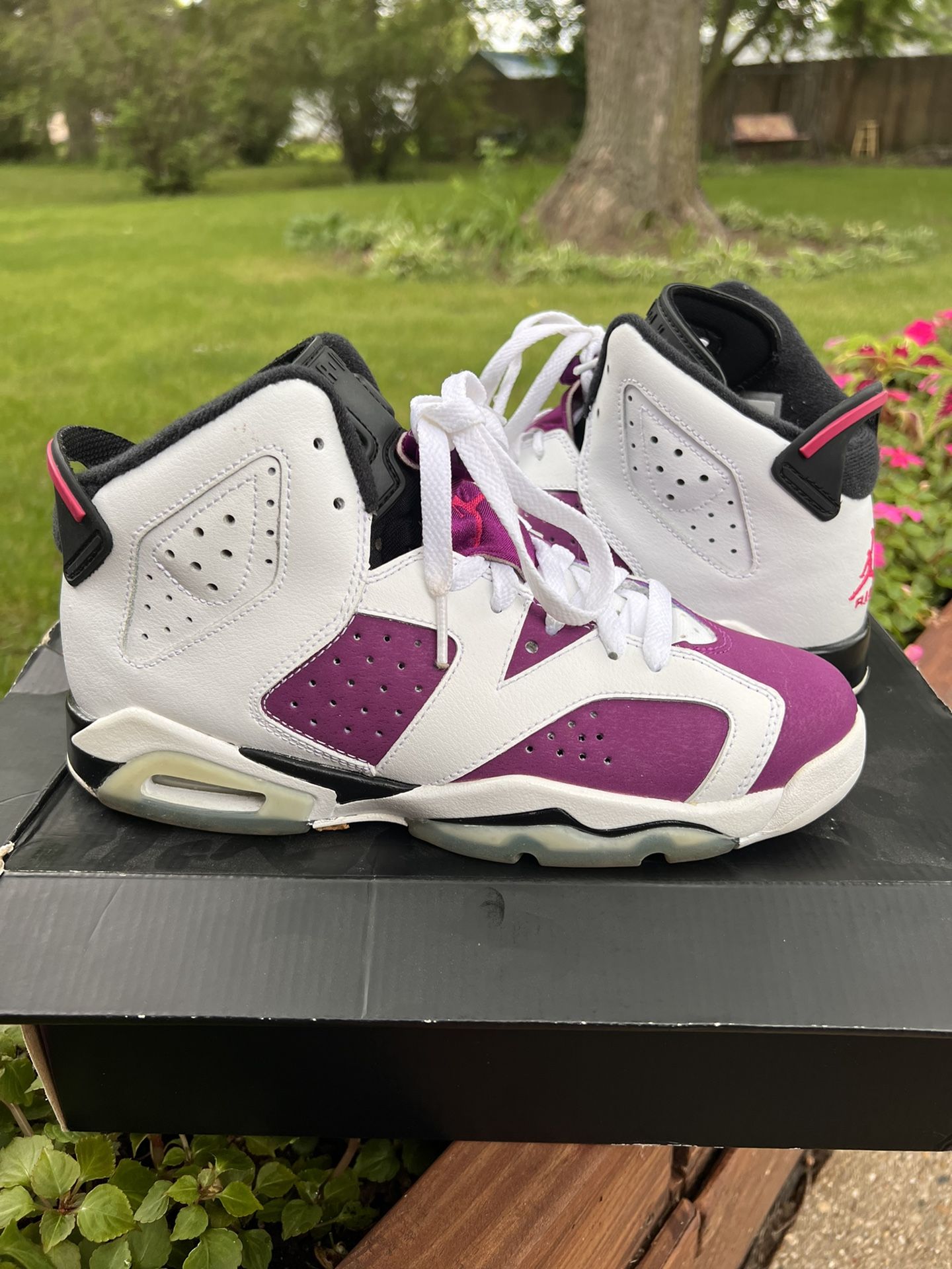 Purple Retro Jordan 6’s