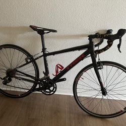 Trek Road Bike