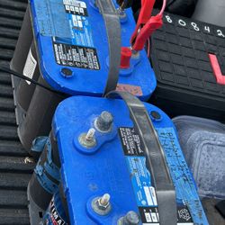2 Blue Top Batteries 