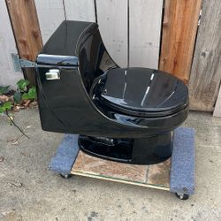 Kohler One Piece Black Toilet