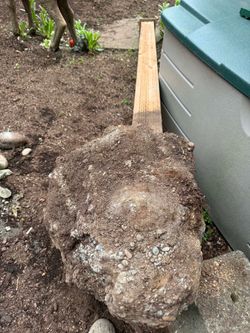 FREE Concrete blobs