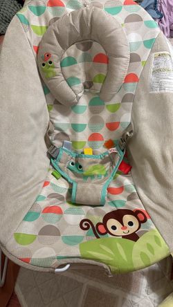 Baby Bouncer 