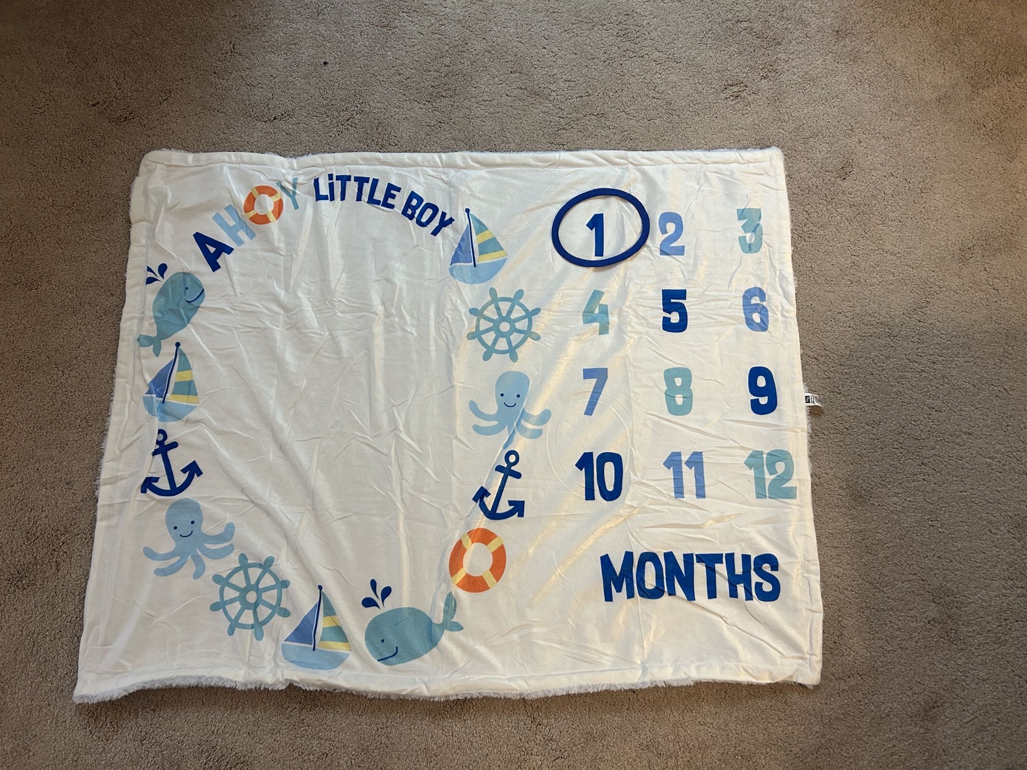 Baby Millstone Monthly Picture Blanket