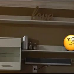 Entertainment Center Cabinets  and Shelves 