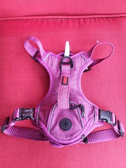 Medium Dog Harness 