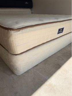 Queen Mattress And Box Spring