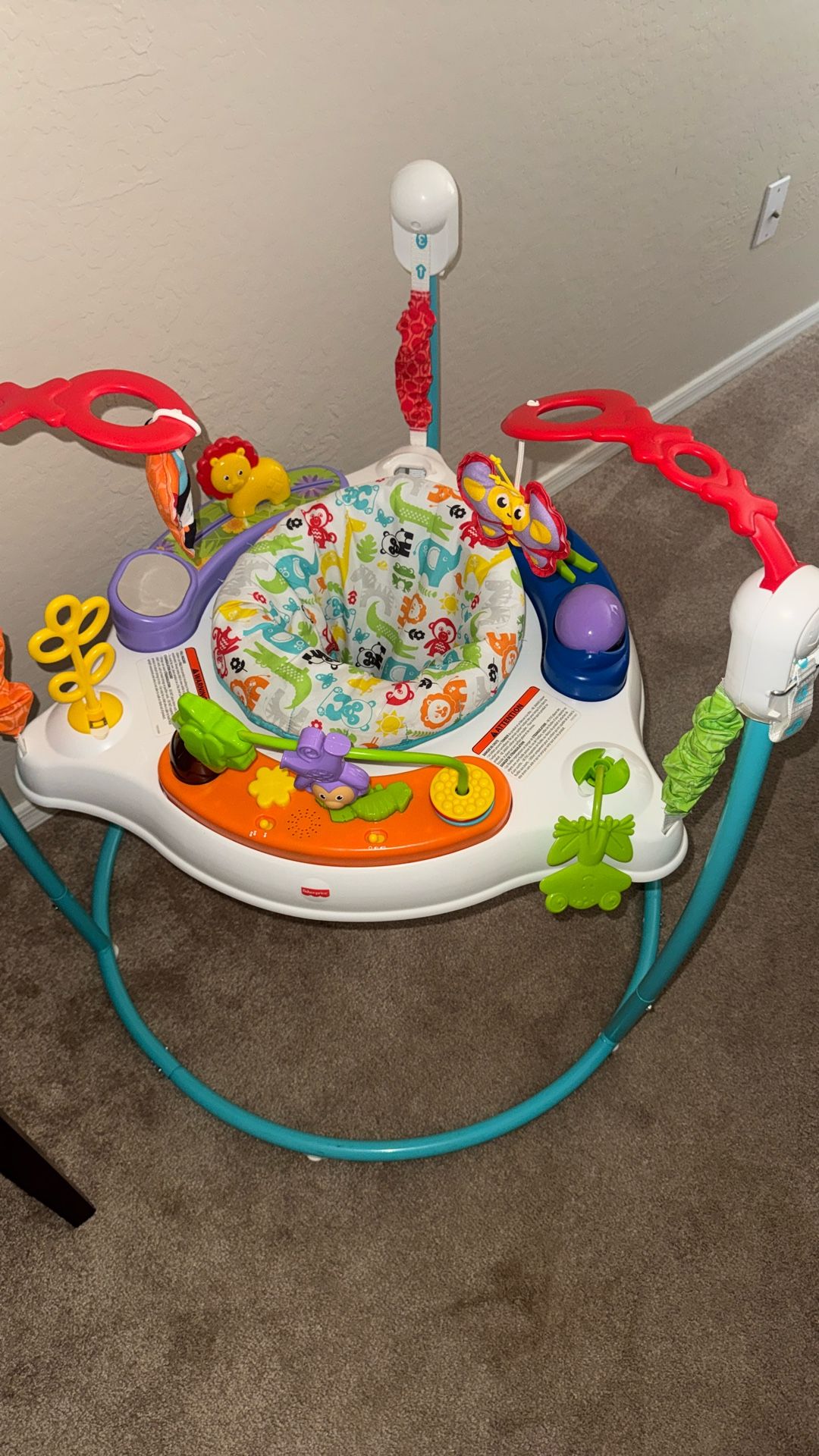 Baby Bouncer 