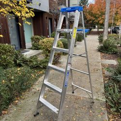 Werner Ladder 6’ 