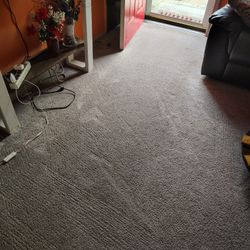 Gray Carpet For Sale
