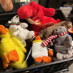 Beanie Baby Collection 