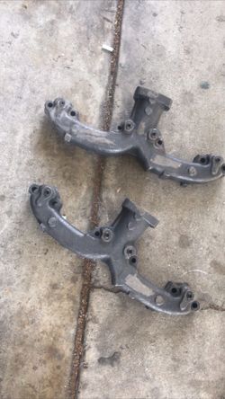 Impala ram horns