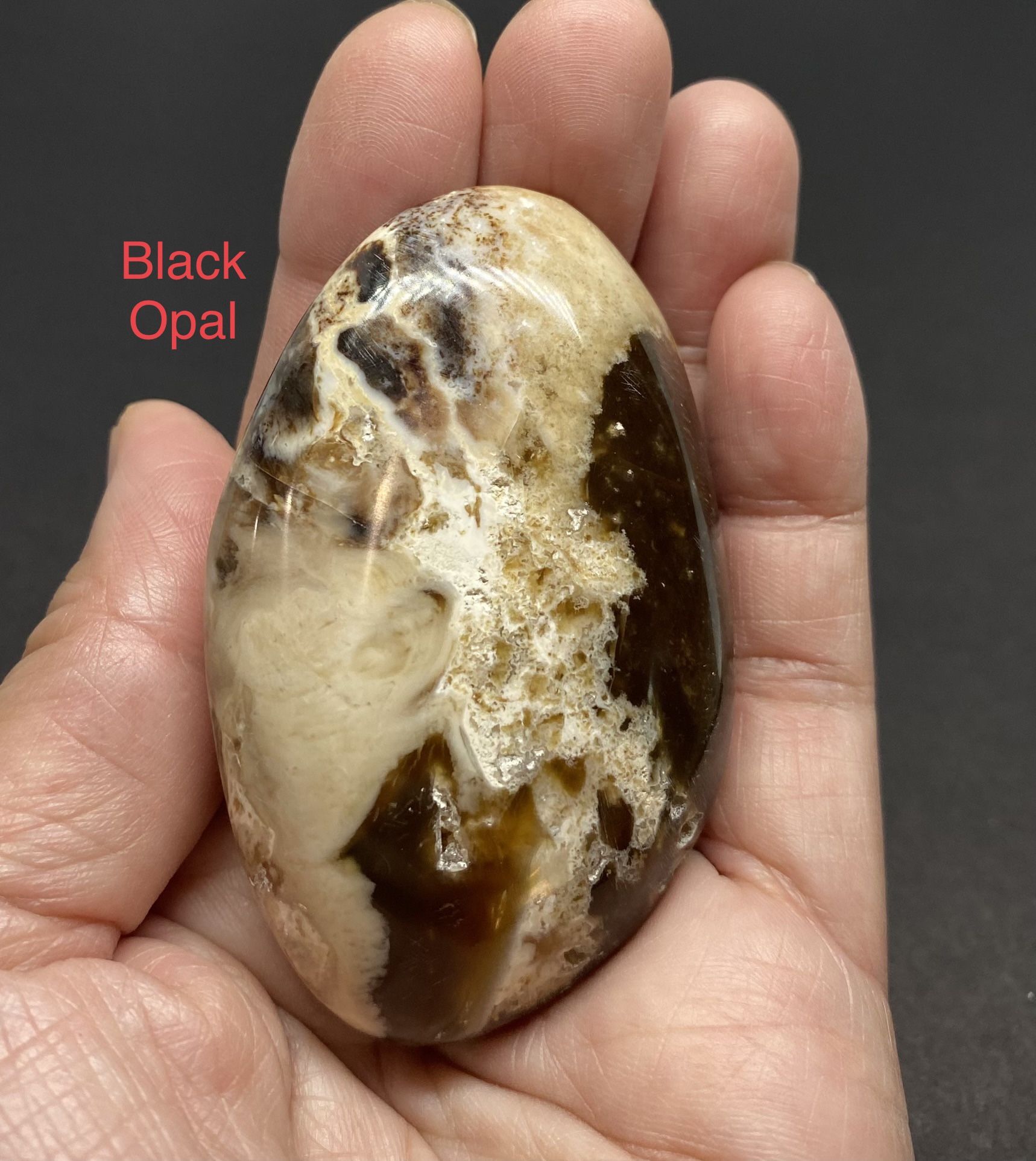 Black Opal Genuine Palm Stone from Madagascar 83g RARE