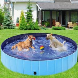 Pawz Large Portable Animal/kiddie Pool