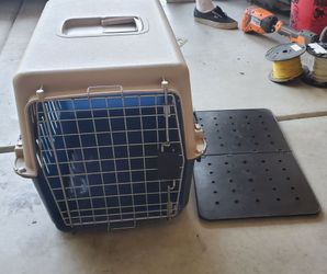 Dog box for travel