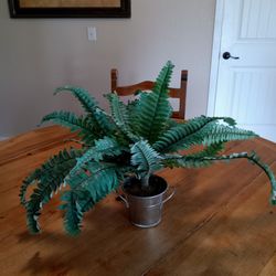 Decorative, Artificial, Plant, Plants 