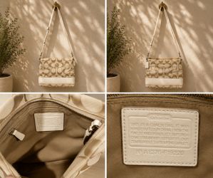 Coach Signature Crossbody Bag