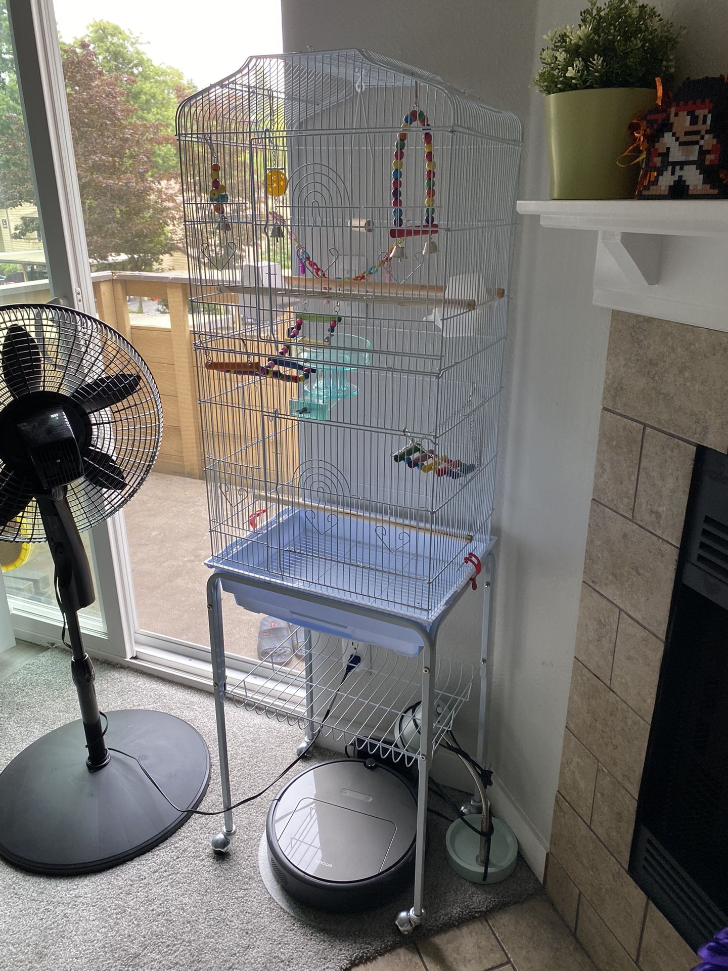 Bird Cage