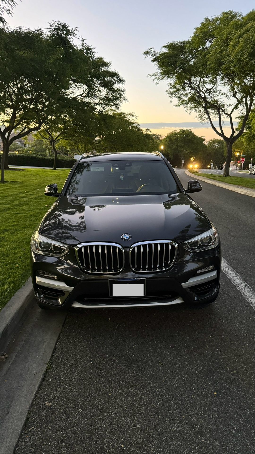 2019 BMW X3