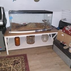 Reptile  Tank Ir Aquarium    40 Gallon  Still Has Tag On It