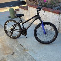 Schwinn Kids Mountain Bike 