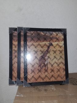 (3) 10 x 13" Wall Mount Picture Frame, Vertical  or Horizontal 