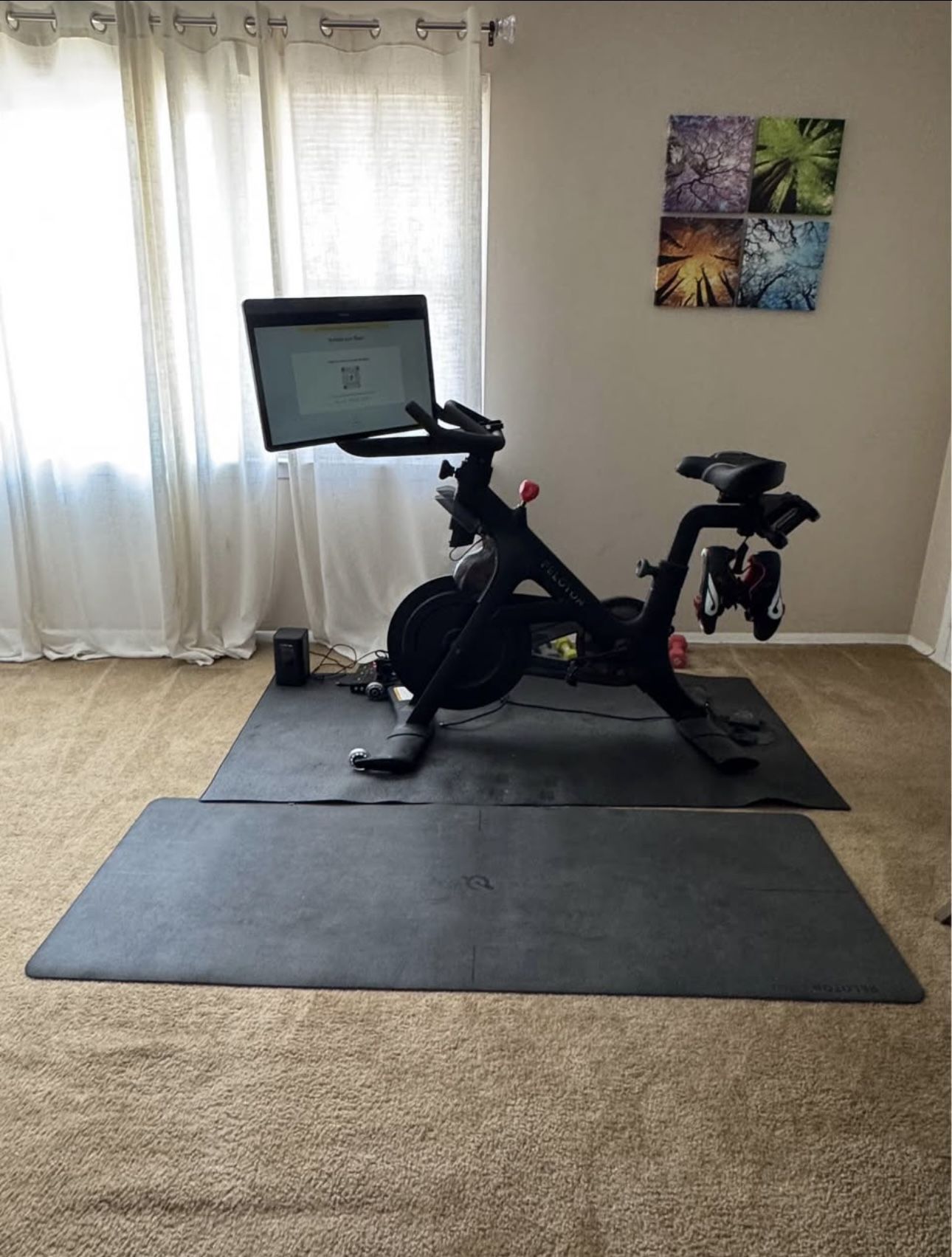 Peloton Bike+, bike mat, workout mat, pair 3 lb dumbbells, cycling shoes