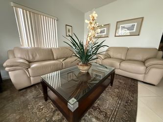 Two Leather couches and table