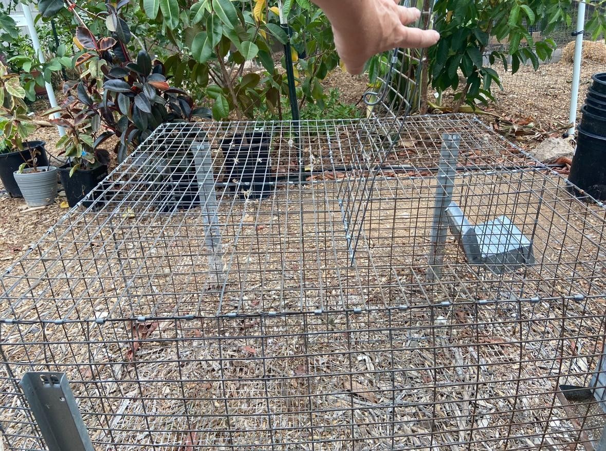 Raised Separated Double Rabbit Cage With Feeder Boxes.