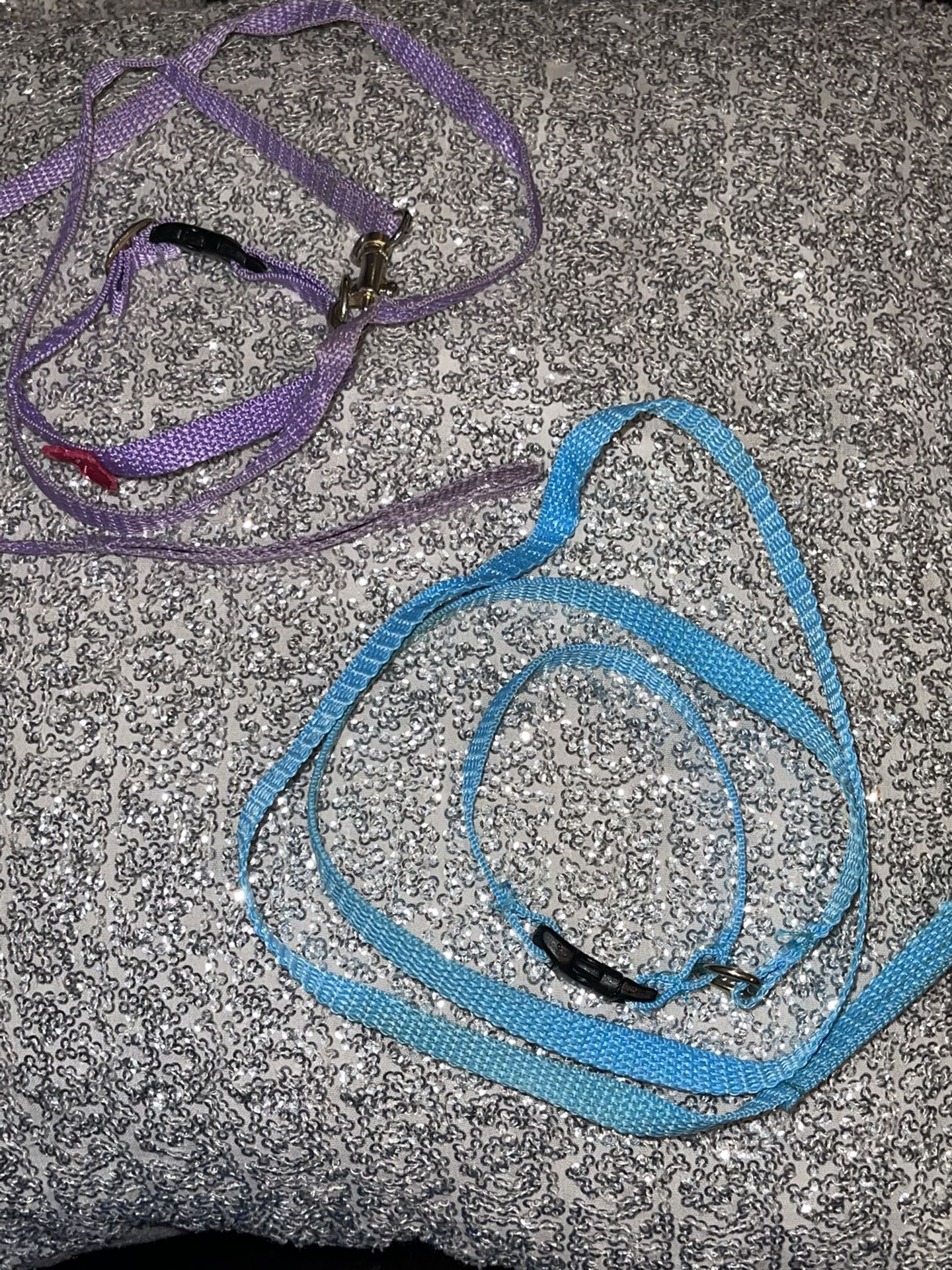 Collar And Leash Xsmall