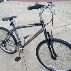Nishiki Bike  Needs Brake Handles Repaired  Or Replaced 