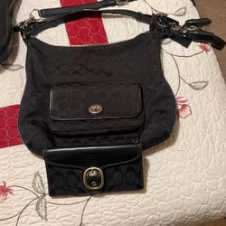  $120 Purse And Wallet Coach 