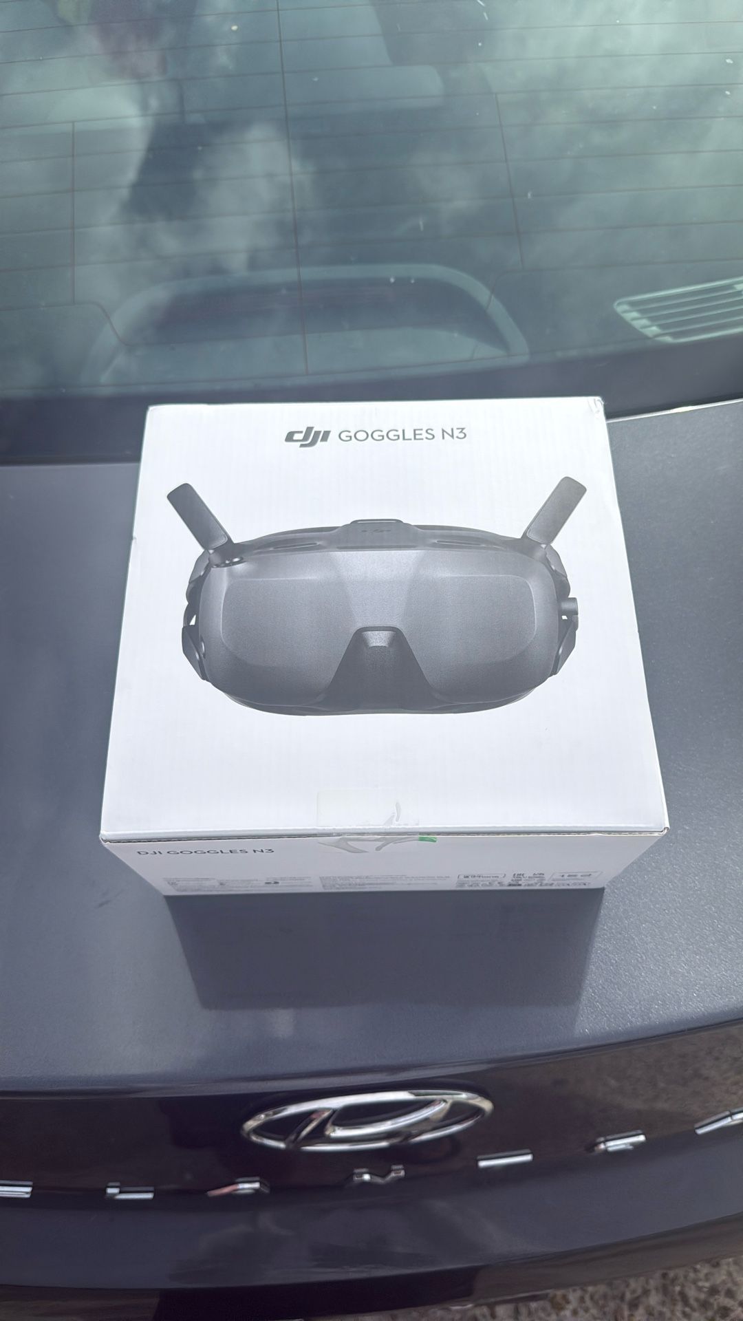 DJI Goggles 