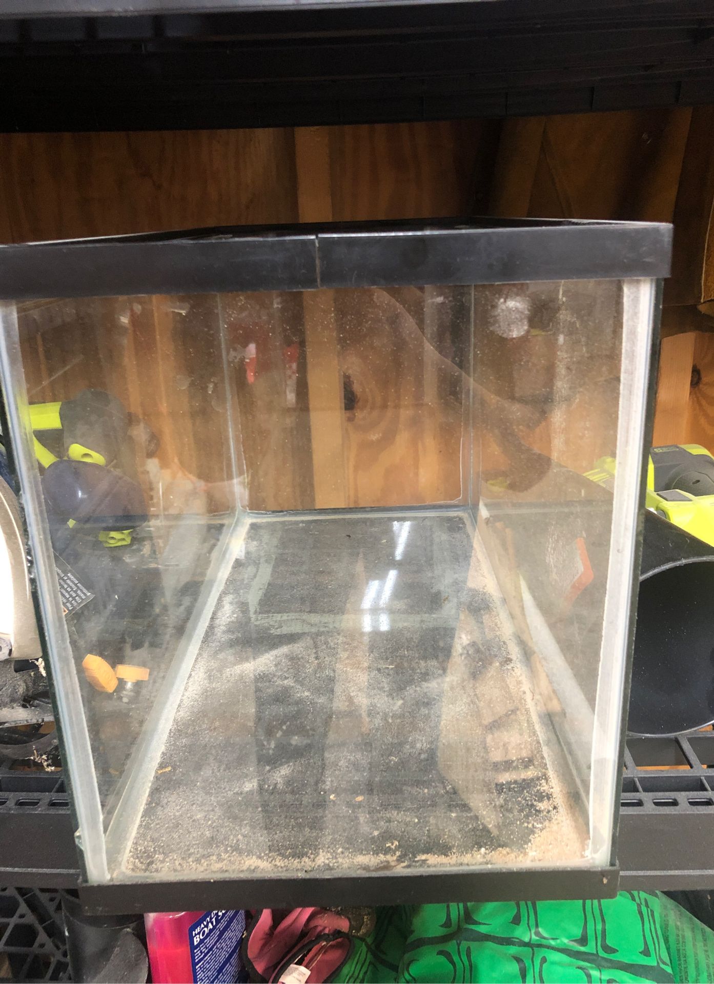 10 gallon tank